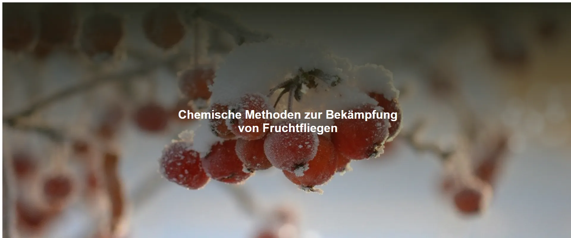 Chemische Methoden zur Bekämpfung von Fruchtfliegen