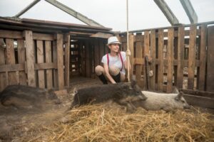 Heuraufe für Rinder Selber Bauen – Praxis-Tipp: Aufbau mit Sinnvollen Maßen Planen
