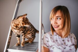 Katze Lässt sich nicht Zwangsernähren – Gesundheitssignale Passend Auswählen