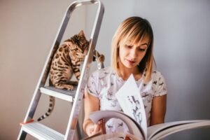 Laufrad für Katzen Selber Bauen – Was Sollte man zur Eigenbau Wissen?